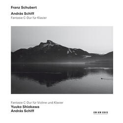 Schubert: Fantasia for Piano in C Major, D. 760, Op. 15 "Wanderer-Fantasie"