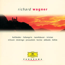 Wagner: Der fliegende Holländer, WWV 63 / Act II - "Johohoe! Traft ihr das Schiff im Meere an"