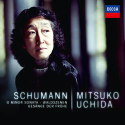 Schumann: Piano Sonata No.2 in G minor, Op.22 - 2. Andantino