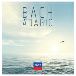 J.S. Bach: Partita No. 4 in D Major, BWV 828 - 2. Allemande
