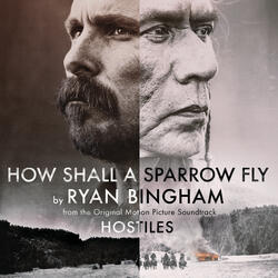 How Shall a Sparrow Fly