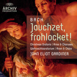 J.S. Bach: Christmas Oratorio, BWV 248 / Part Three - For The Third Day Of Christmas - No. 29 Duett: "Herr, dein Mitleid, dein Erbarmen"