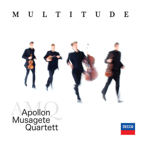 Multitude