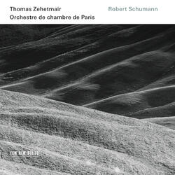Schumann: Symphony No. 1 In B Flat, Op. 38 - "Spring" - 1. Andante un poco maestoso - Allegro molto vivace