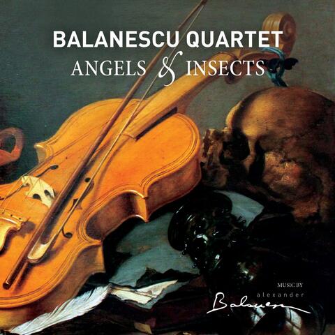 Angels & Insects