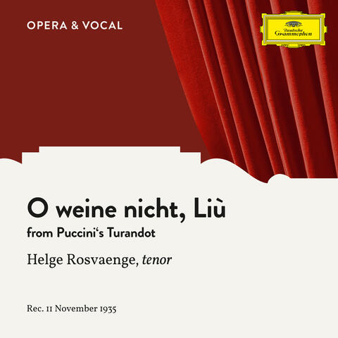 Puccini: Turandot: O weine nicht, Liù