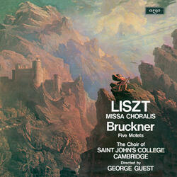 Bruckner: Ecce Sacerdos Magnus, WAB13