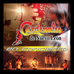 Belleza De Cantina