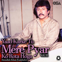 Aa Kar Hamari Qabar Par