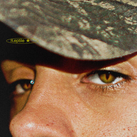 reptile