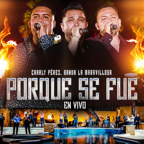 Porque Se Fue