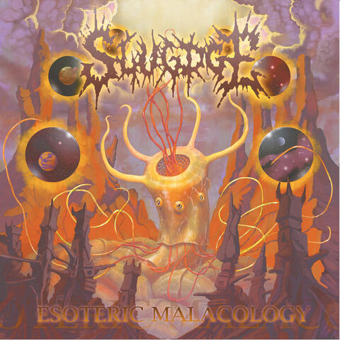Esoteric Malacology