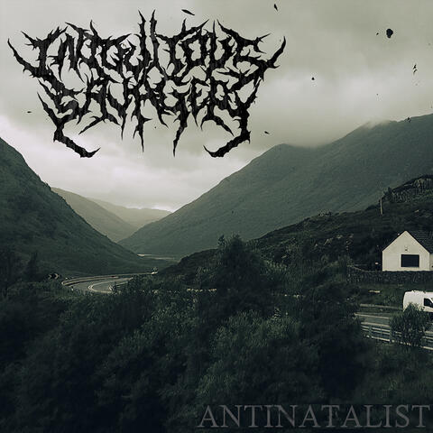Antinatalist
