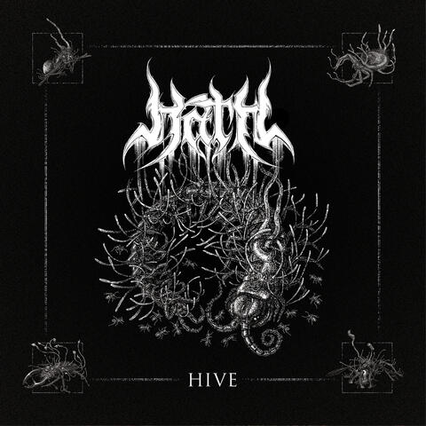Hive