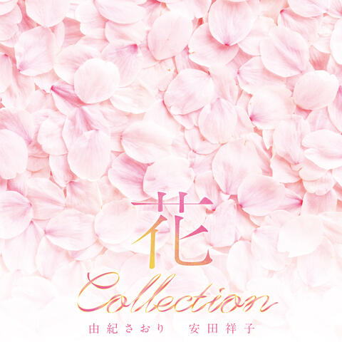 Hana Collection