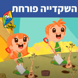 השקדיה פורחת