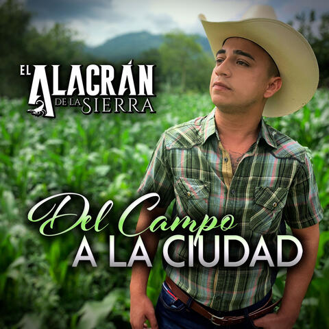 Del Campo A La Ciudad