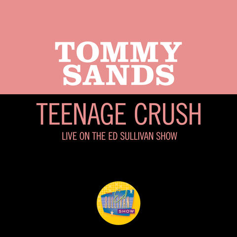 Teenage Crush