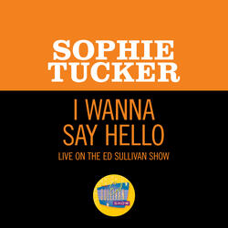 I Wanna Say Hello
