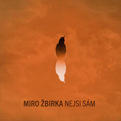 Nejsi Sam