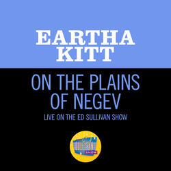 On The Plains Of The Negev