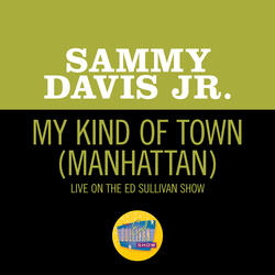 My Kind Of Town (Manhattan)