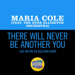 There Will Never Be Another You