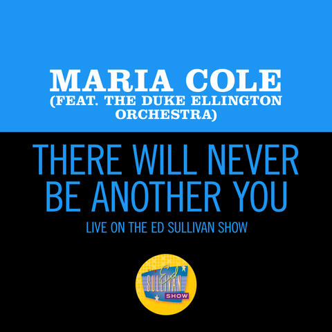 There Will Never Be Another You