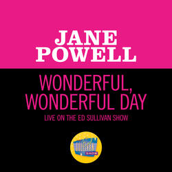 Wonderful, Wonderful Day