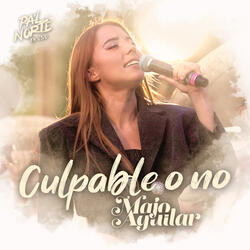 Culpable O No