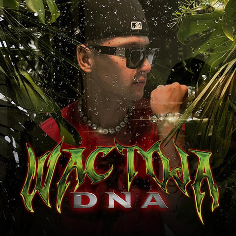 DNA