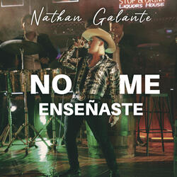 No Me Enseñaste