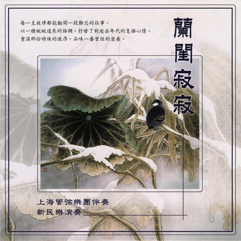 新民乐演奏