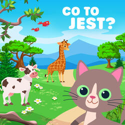 Co To Jest?
