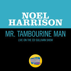 Mr. Tambourine Man