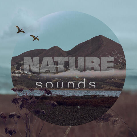 Nature Sounds