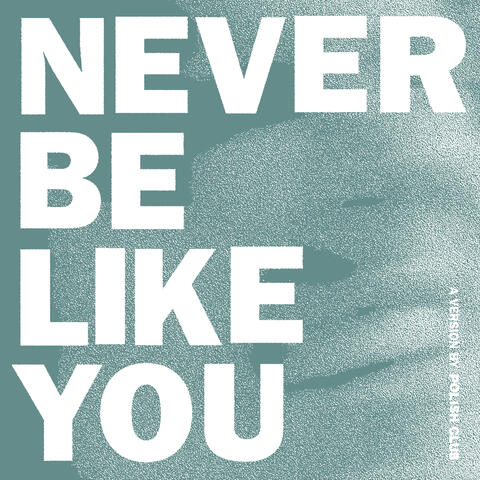 Never Be Like You