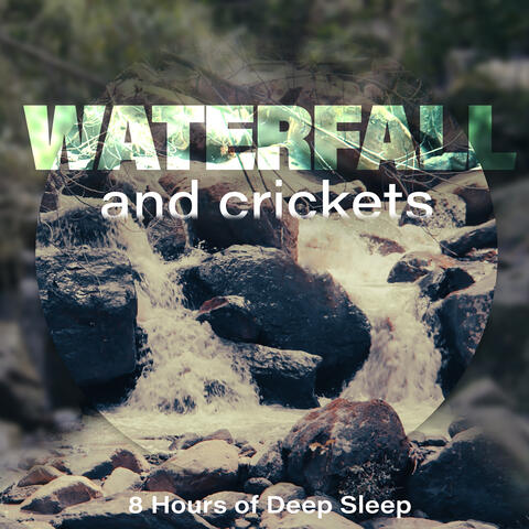 Waterfall And Crickets, 8 Hours Of Deep Sleep