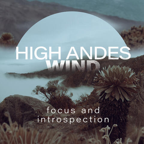 High Andes Wind: Focus And Introspection