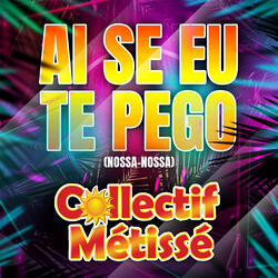 Ai Se Eu Te Pego