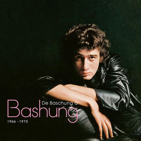 De Baschung à Bashung