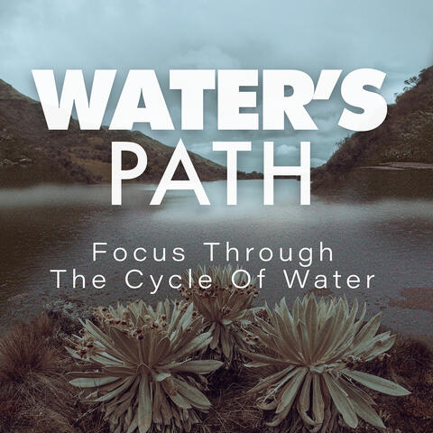 Water's Path: Focus Through The Cycle Of Water