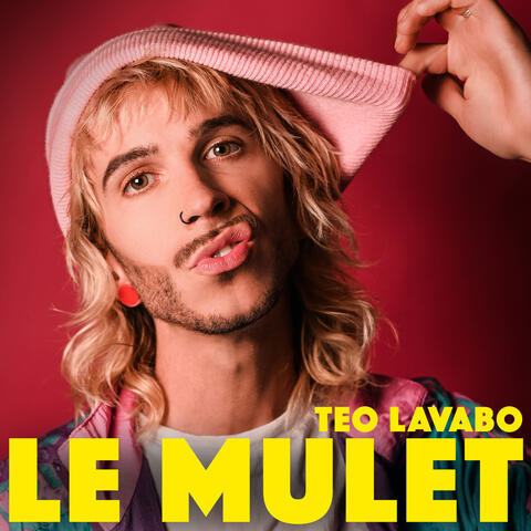 Le Mulet