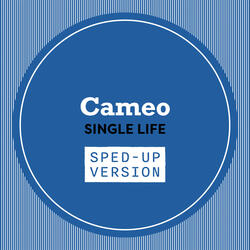 Single Life
