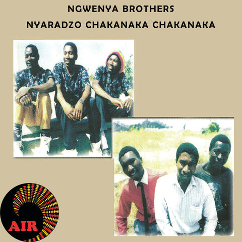 Nyaradzo Chakanaka Chakanaka