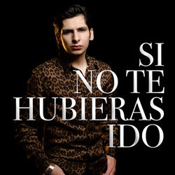 Si No Te Hubieras Ido