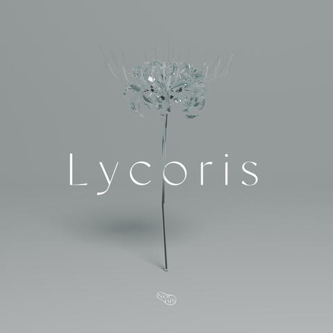 Lycoris