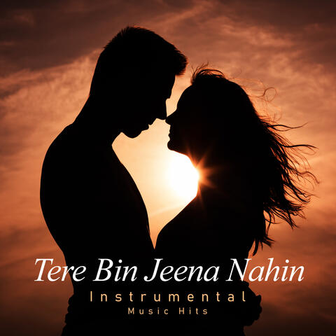 Tere Bin Jeena Nahin