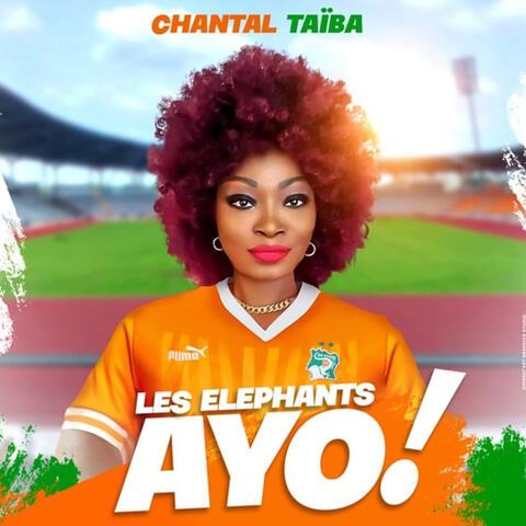 Les éléphants Ayo!