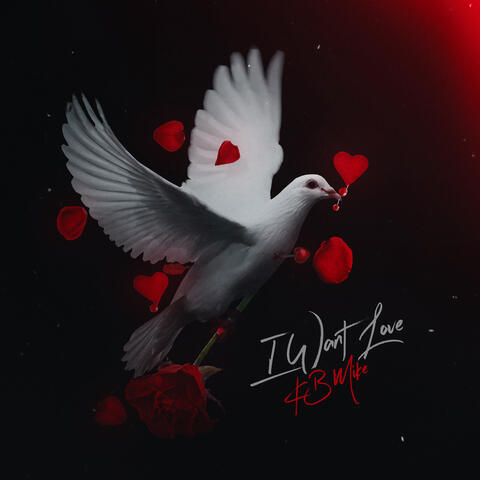 I Want Love